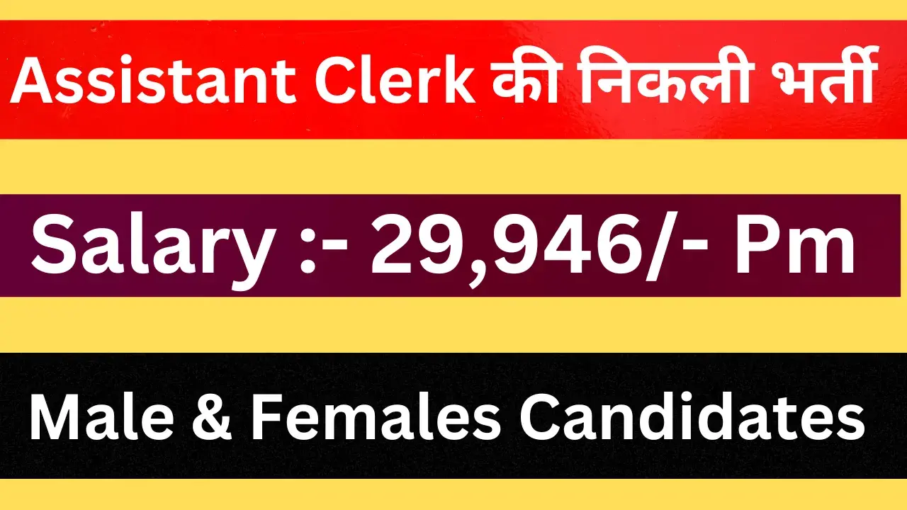 Assistant Clerk Recruitment 2024