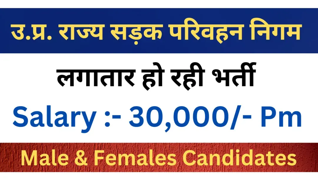 Accountant Job Vacancy 2025