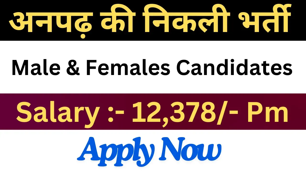 Ward Aaya Recruitment