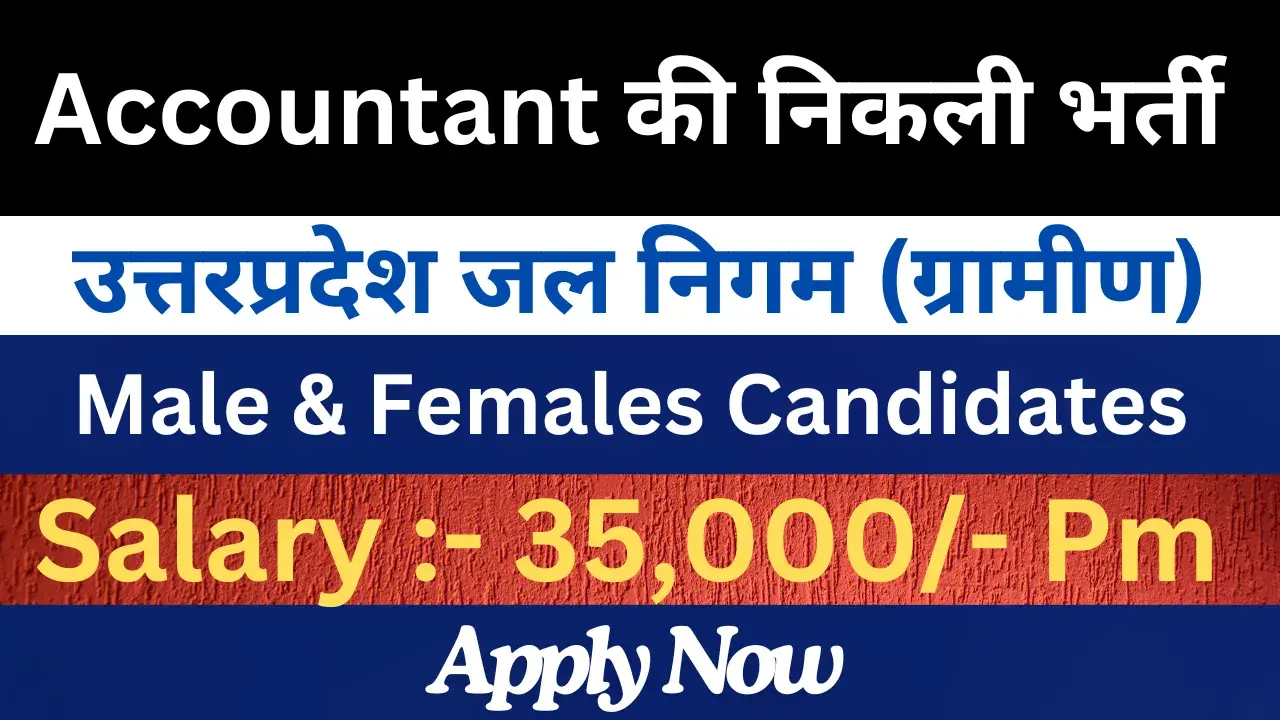 Private Job for Accountant 2025