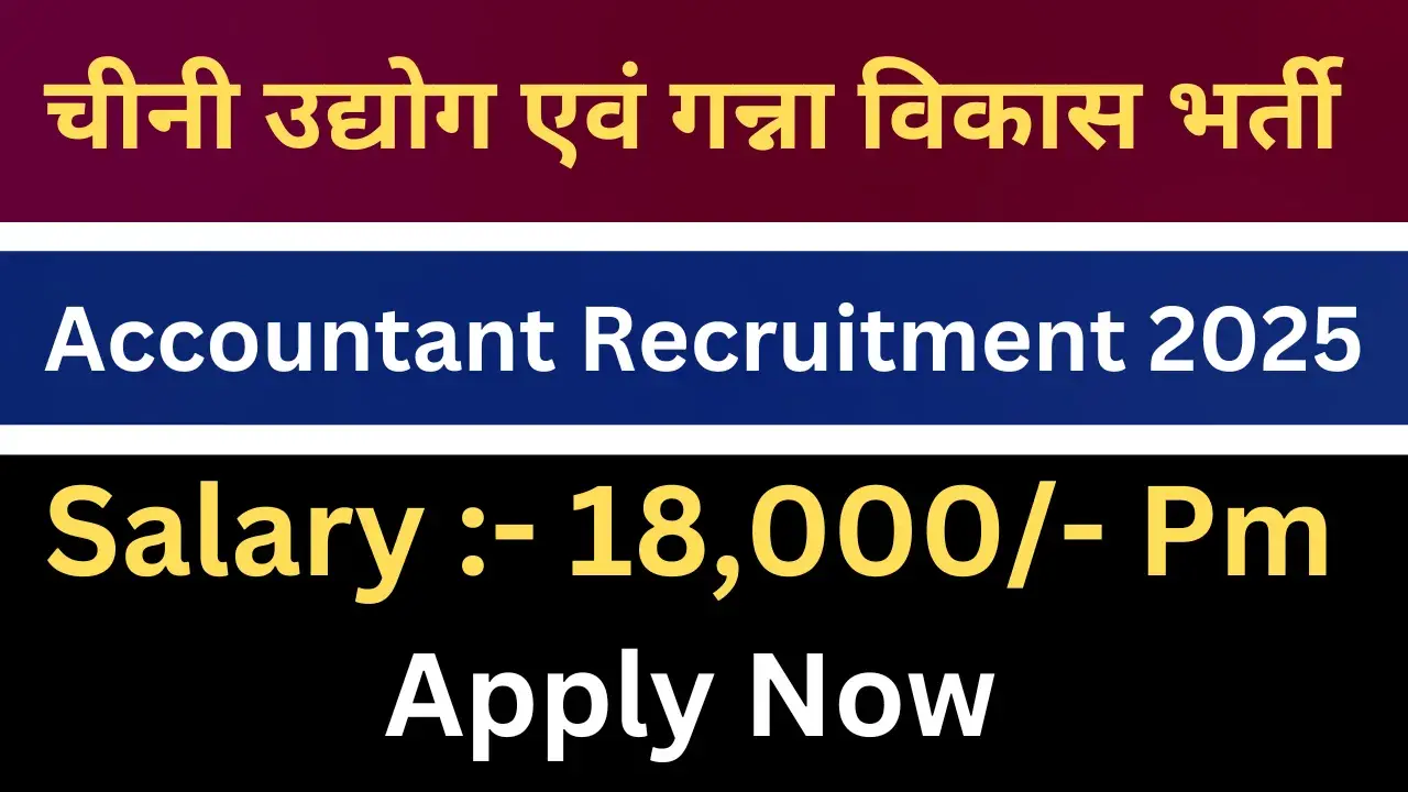 Accountant Recruitment