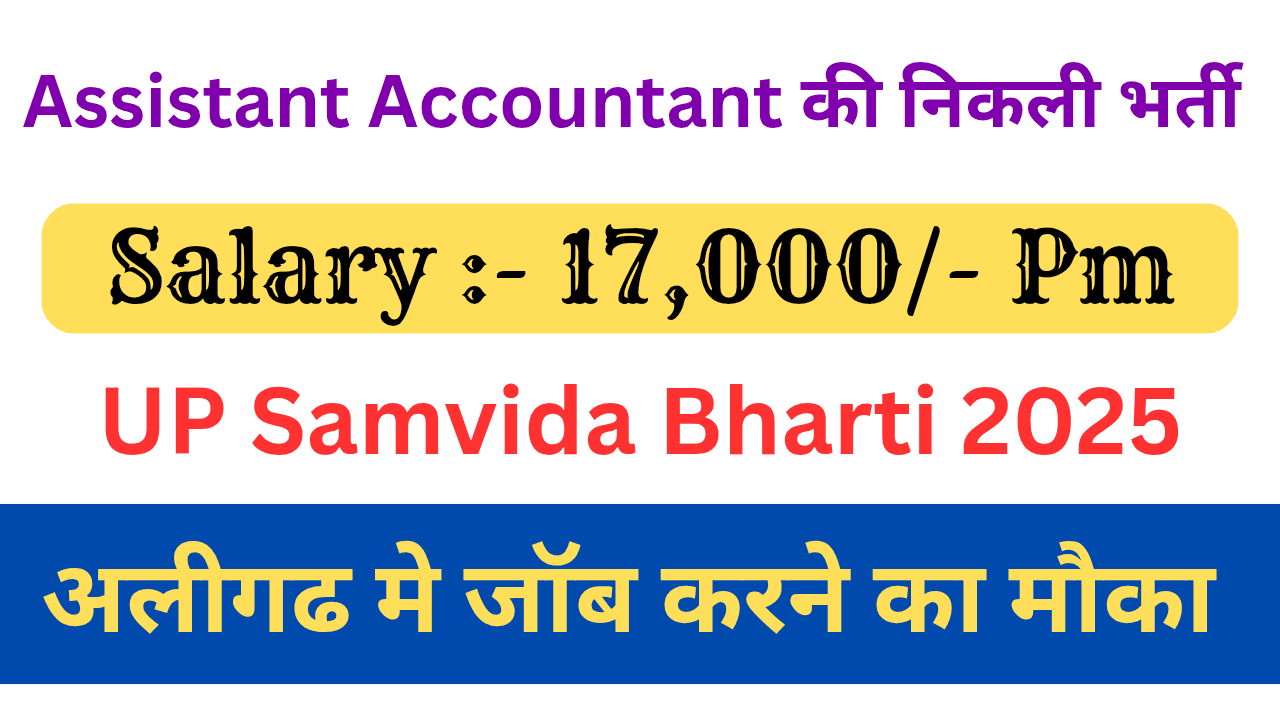 Assistant Accountant Jobs