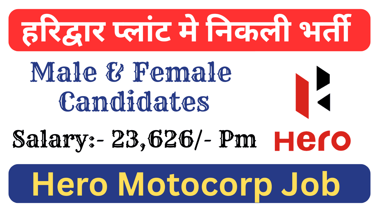 Hero MotoCorp Job