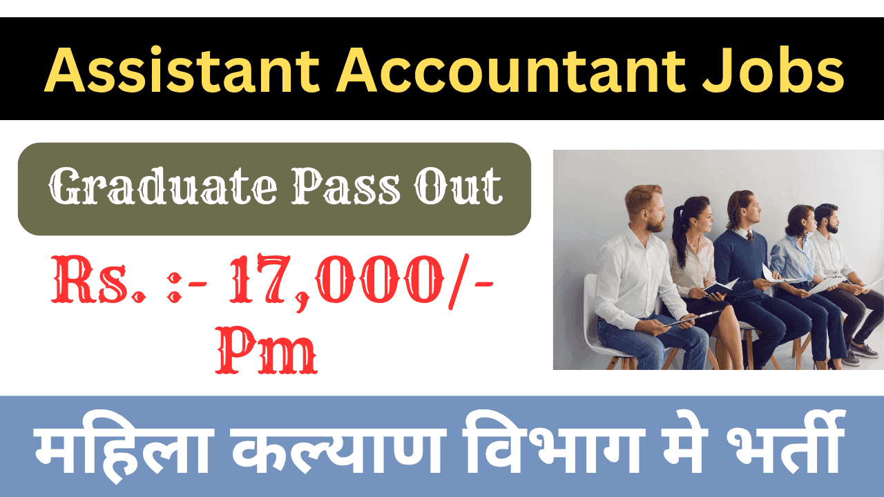 Assistant Accountant Jobs