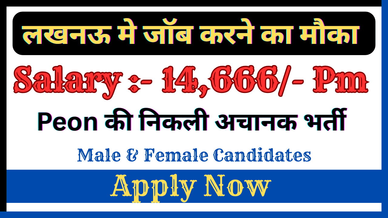 Peon Jobs in Lucknow