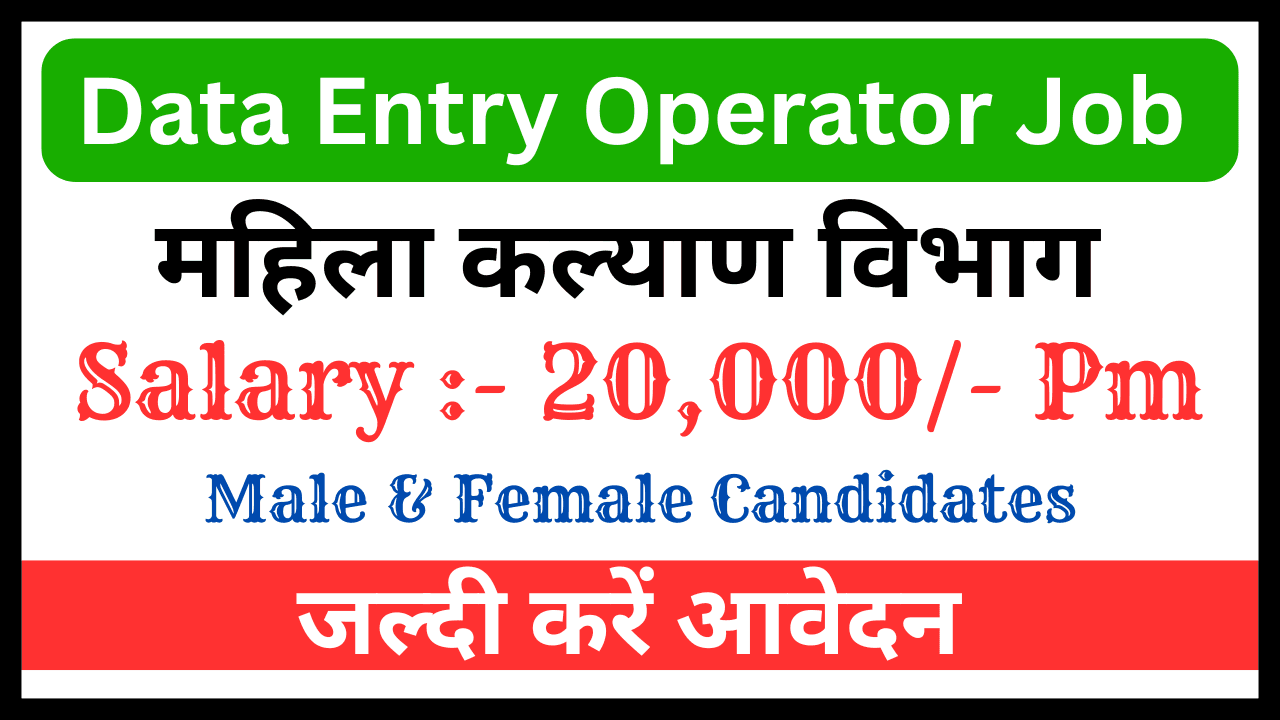 Data Entry Operator Job