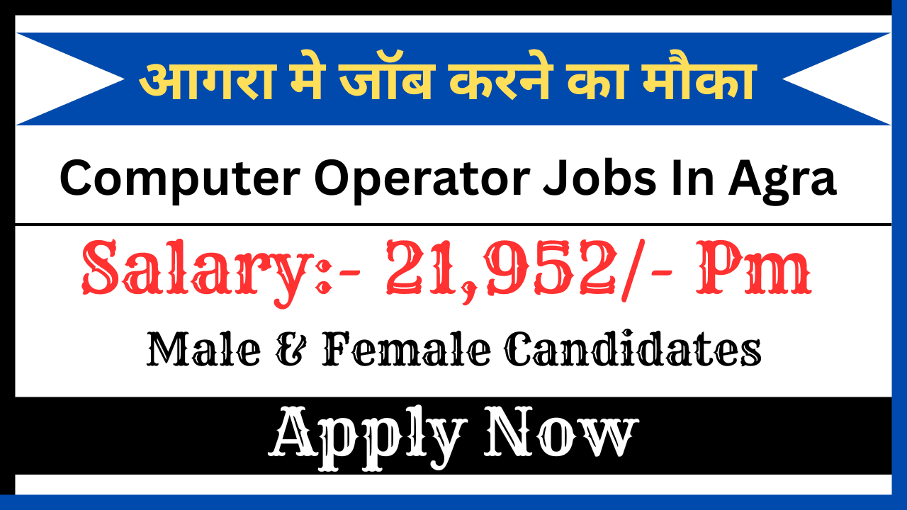 Computer Operator Jobs In Agra