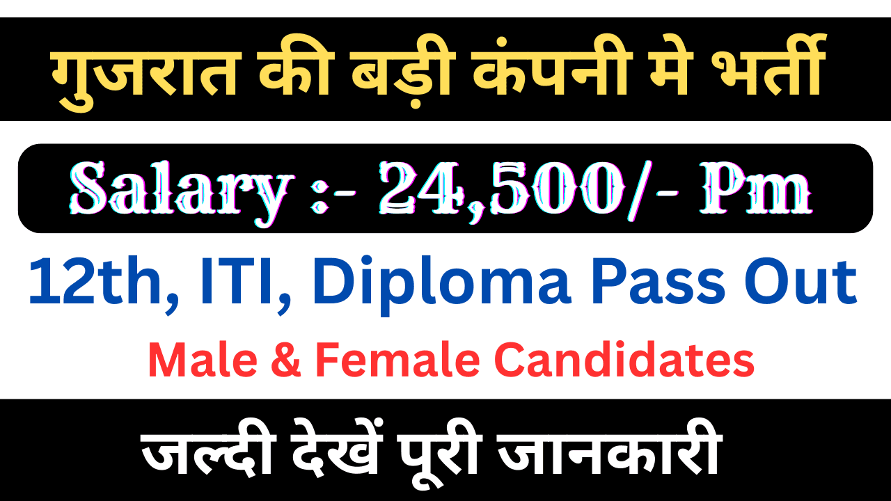 Latest Vacancy in Mehsana