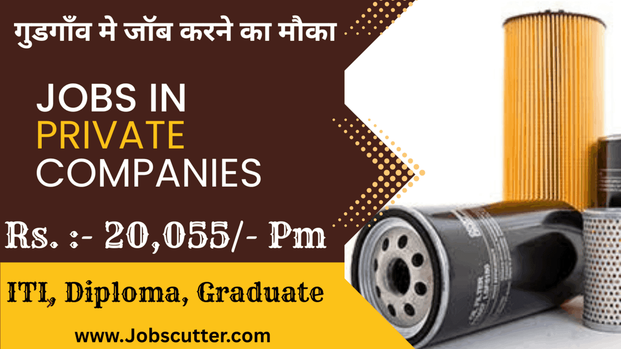 Jobs in Private Companies