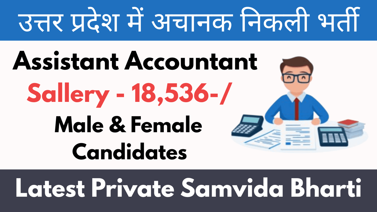 Assistant Accountant Bharti