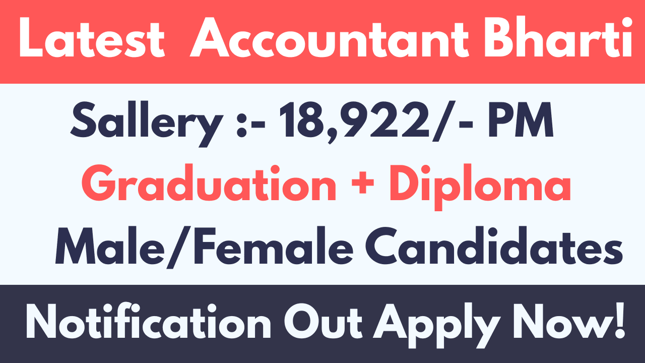 Latest Private Accountant Bharti