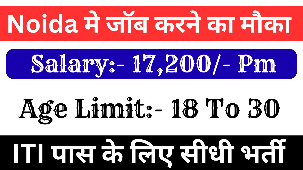 Noida Jobs Recruitment 2025