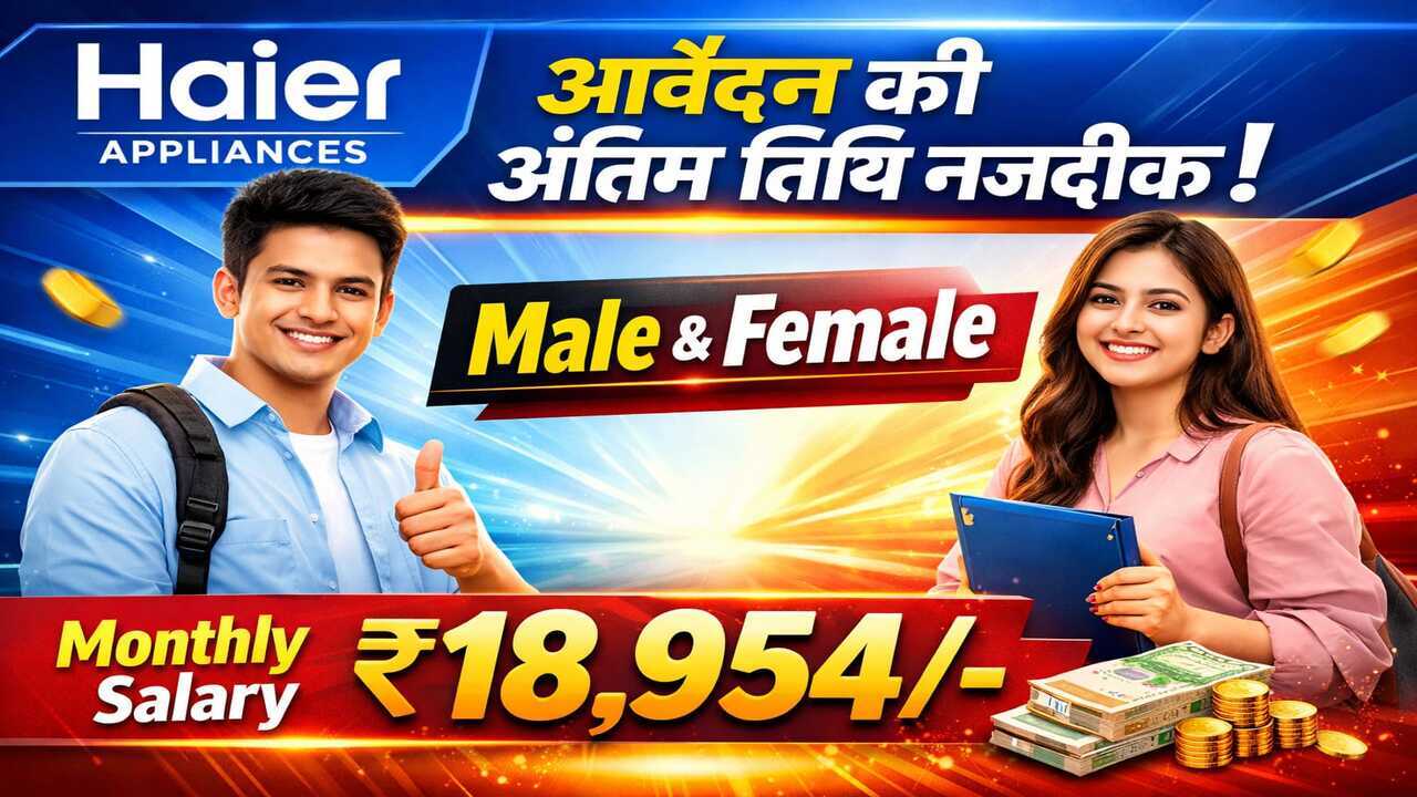 New Job Placement 2026 for Freshers – Apply Now