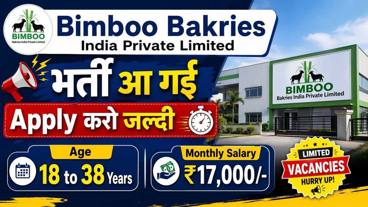 Bimboo Bakries Job