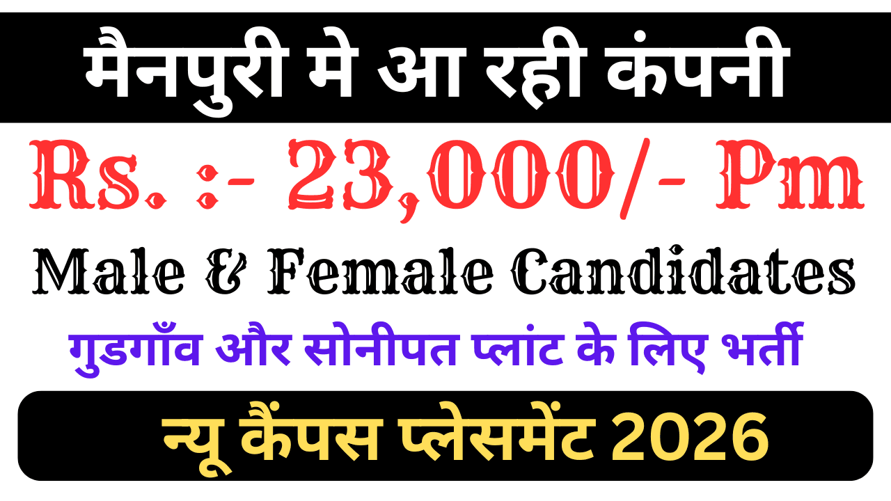 Free Job Placement 2026 for Freshers Jobs