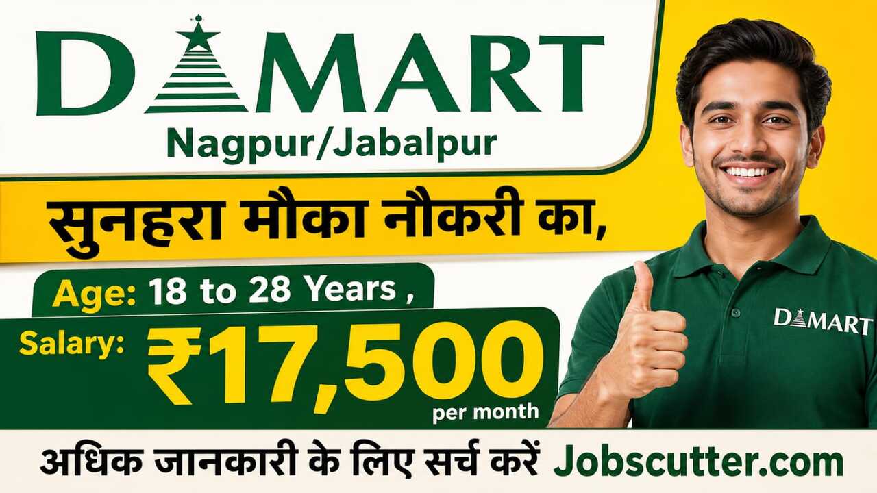 DMART Jobs Vacancy