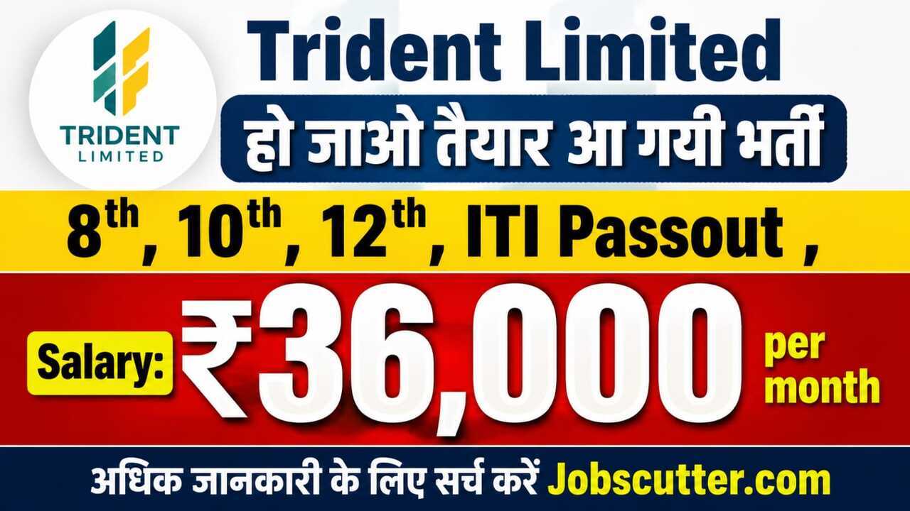 Private Jobs In Budhni