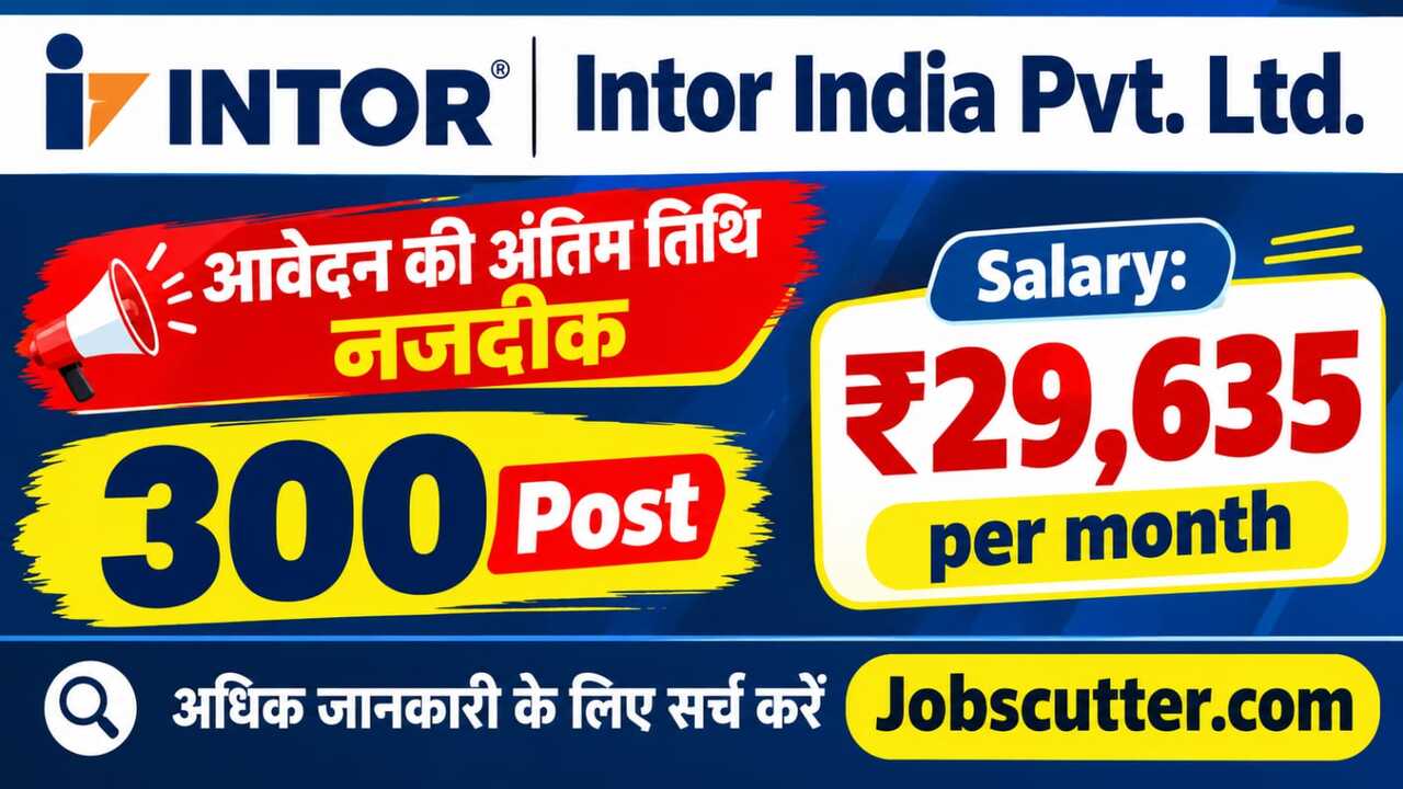 Intor India Jobs